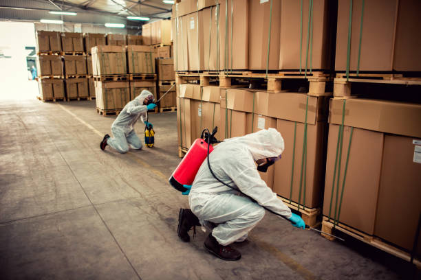 Best Insect Control  in Monmouth Junction, NJ