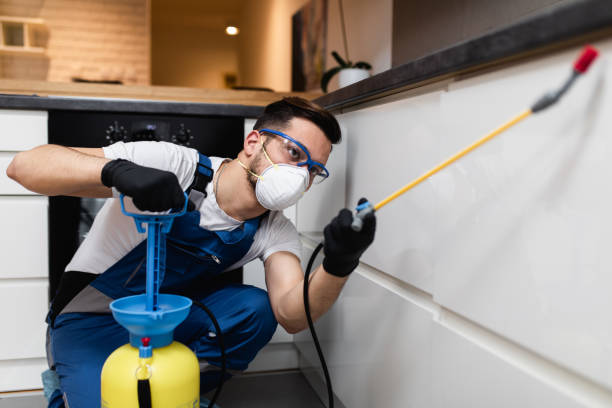 Reliable Monmouth Junction, NJ Pest Control Solutions
