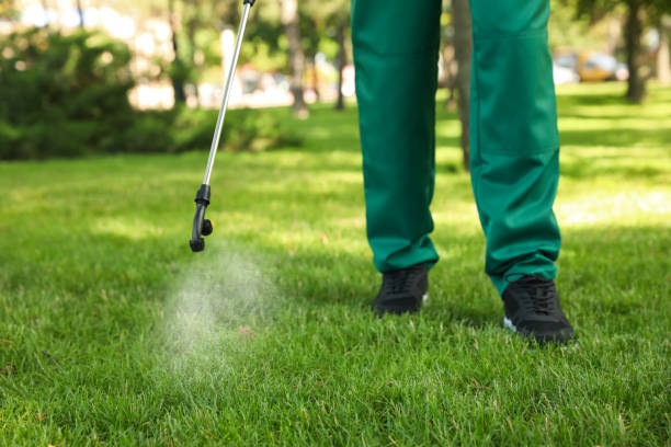 Best Pest Inspection Near Me  in Monmouth Junction, NJ