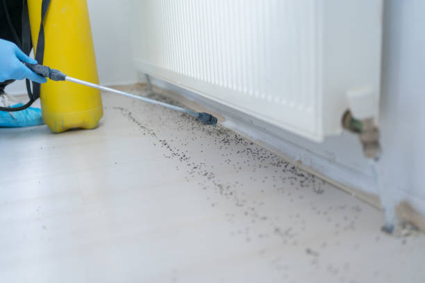 Best Best Pest Control Companies  in Monmouth Junction, NJ