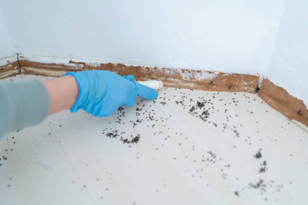 Best Affordable Pest Control Services  in Monmouth Junction, NJ