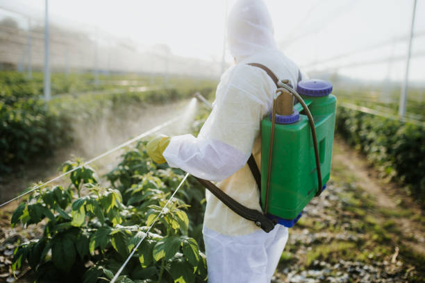 Best Wildlife Control Services  in Monmouth Junction, NJ